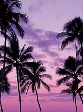 Clown Theft Auto: Woke City