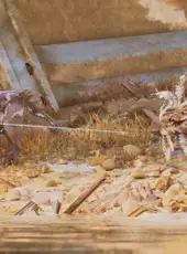 Ark: Extinction Ascended