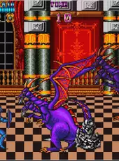 Arcade Archives: Castle of Dragon