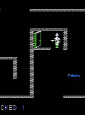 Beyond Castle Wolfenstein