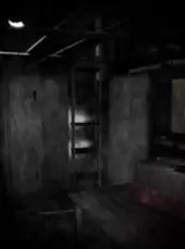 Insomnis Experiment