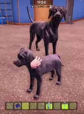 Animal Shelter 2: Hunting Dogs Pack