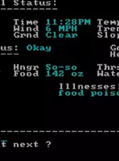 Wilderness: A Survival Adventure