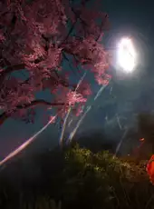 Black Desert