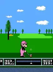 NES Open Tournament Golf