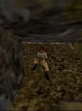 Tomb Raider III: The Lost Artifact