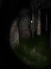 Slender: The Eight Pages
