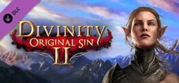 Divinity: Original Sin 2 - Divine Ascension