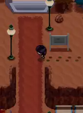 Pokémon D.W.