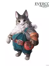 Final Fantasy XIV: Evercold