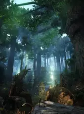 Black Desert