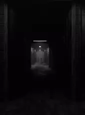 Rise of Insanity