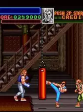 Super Double Dragon