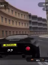 GT Racers