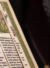 Scriptorium: Master of Manuscripts