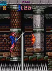 Arcade Archives: Castle of Dragon