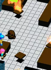 The Hero of Destiny Was Killed by the Final Boss