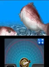 Reel Fishing Paradise 3D