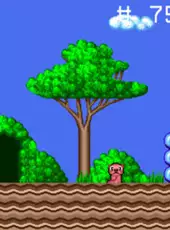 Alex Kidd in the Enchanted Castle