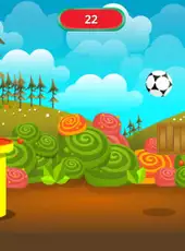 Ball Shoot Aim Challenge