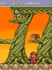 Legend of Hero Tonma
