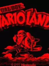 Virtual Boy Wario Land