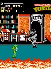 Teenage Mutant Ninja Turtles II: The Arcade Game