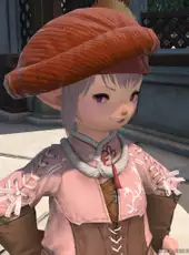 Final Fantasy XIV: Newfound Adventure