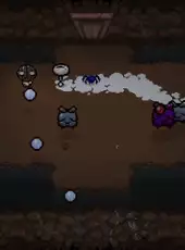 The Binding of Isaac: Afterbirth