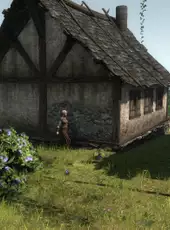 Life is Feudal: Forest Village