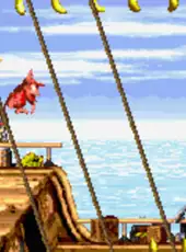 Donkey Kong Country 2