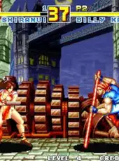 Fatal Fury Special