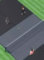 Eleven Pickleball
