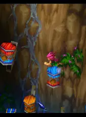 Tomba! 2: The Evil Swine Return Special Edition