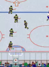 Wayne Gretzky Hockey 3