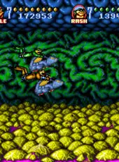 Battletoads In Battlemaniacs