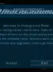 Need for Speed: Underground