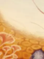 Once Upon a Time... Life: Origins