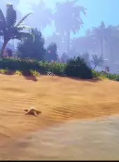 Under a Rock