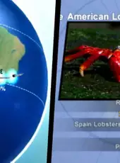 Nat Geo Challenge! Wild Life