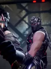 Ninja Gaiden 4