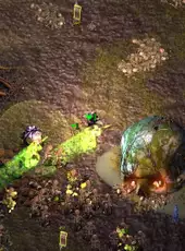 Halls of Torment: The Boglands