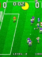 Tecmo World Soccer '96