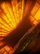 Golden Light