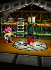 Tomba! 2: The Evil Swine Return