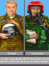Top Gun: Danger Zone