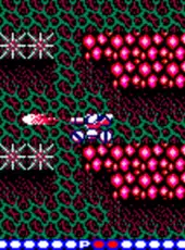 Blaster Master: Enemy Below