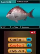 Reel Fishing Paradise 3D