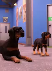 Animal Shelter 2: Hunting Dogs Pack