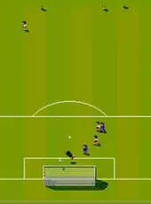 Sensible World of Soccer